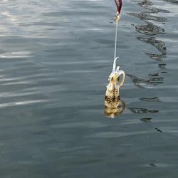 ホームのアオリ調査