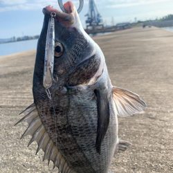 今日は渋めチヌトップ