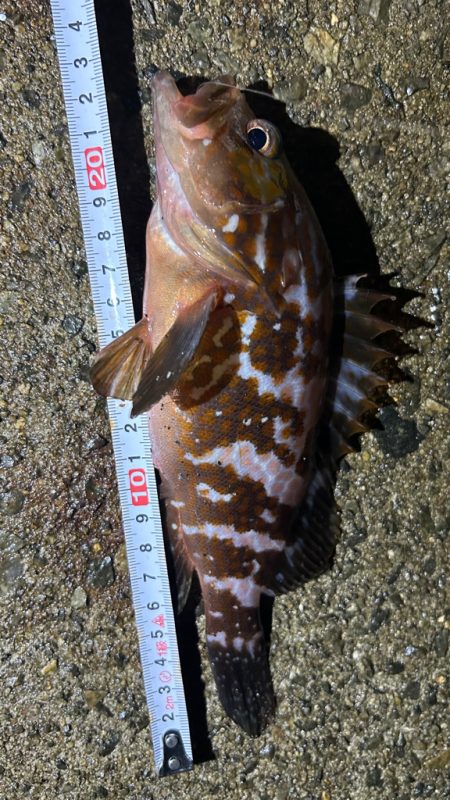 ジグヘッドウエイト調整