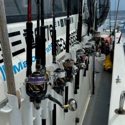 キハダキャスティングリベンジ