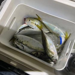 フロートアジング