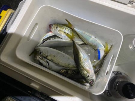 フロートアジング