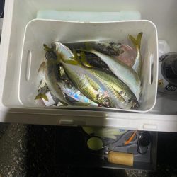 フロートアジング