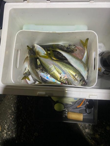 フロートアジング