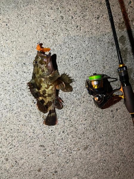 リベンジ達成！？