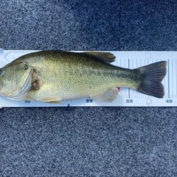 1日ボート釣行！