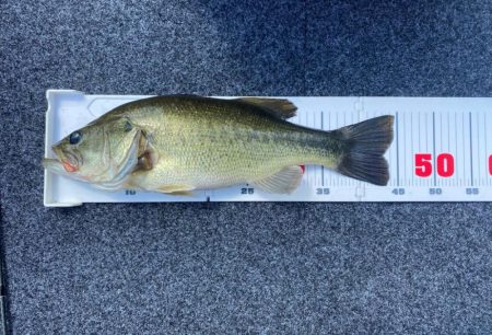 1日ボート釣行！