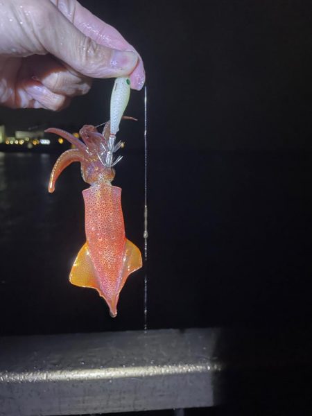 単発のあたりですが釣れました