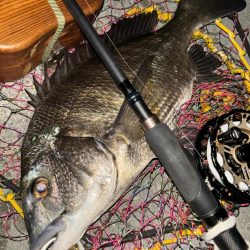 ヘチってきました