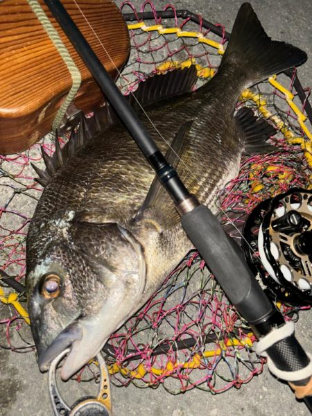 ヘチってきました