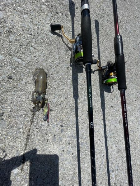 遠投サビキ　鯛二連掛けえ