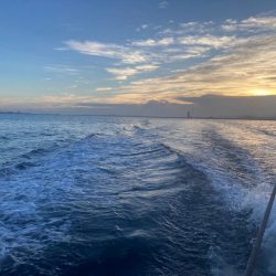 洲本沖のタチウオ