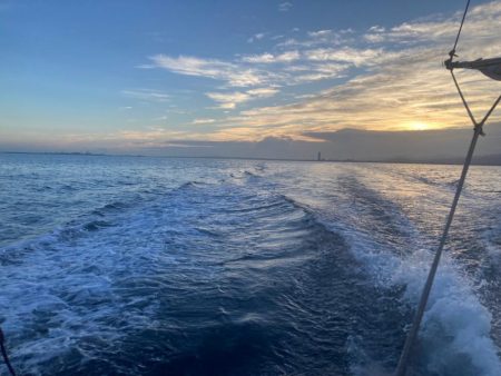 洲本沖のタチウオ