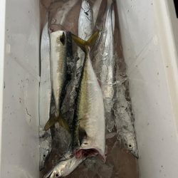 タチウオジギング