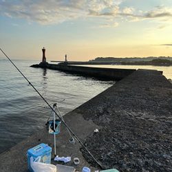 キス釣り、アジ釣り