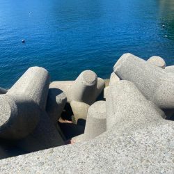 M:I /ベラギスタ