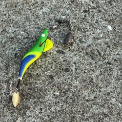 相変わらずの激渋だけど何とか釣れた!