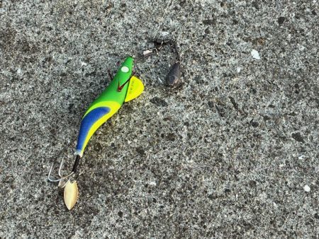 相変わらずの激渋だけど何とか釣れた!