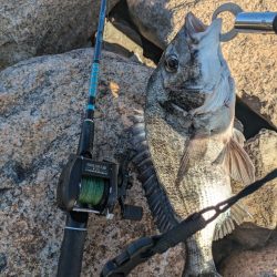 ようやく叶いました。