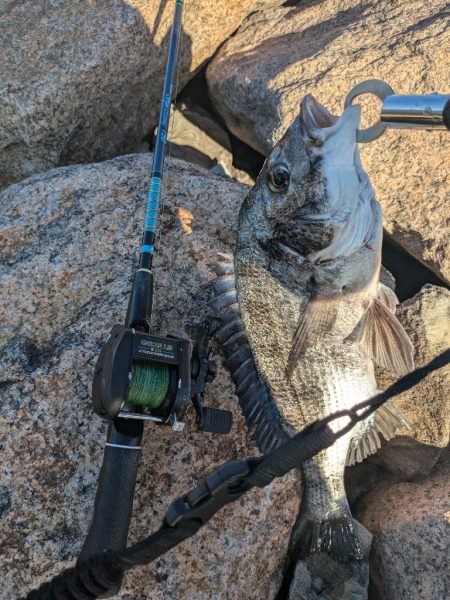 ようやく叶いました。