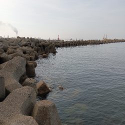 高砂港、弾丸キス釣行その2