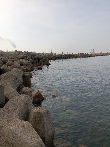 高砂港、弾丸キス釣行その2