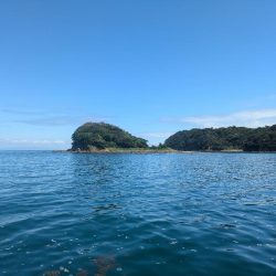 暑い夏の友が島廻り