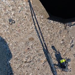 今日も高砂港へ