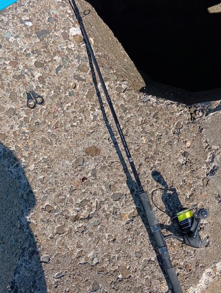 今日も高砂港へ