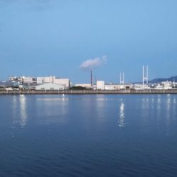 久々のジグサビキ