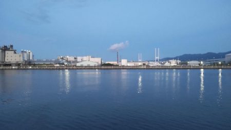 久々のジグサビキ