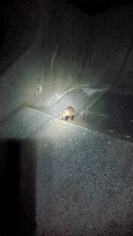 苅屋海岸のキス釣り