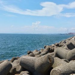 高砂港のちょい投げ