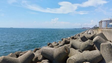 高砂港のちょい投げ