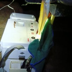 苅屋海岸のキス釣り