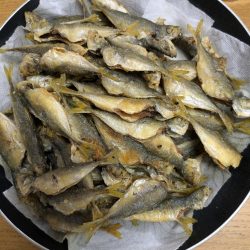 ファミリーフィッシング