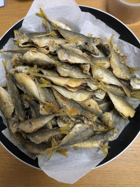 ファミリーフィッシング