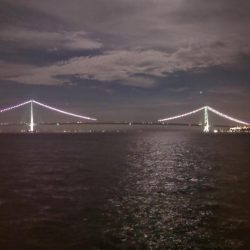 最初から切り身で…