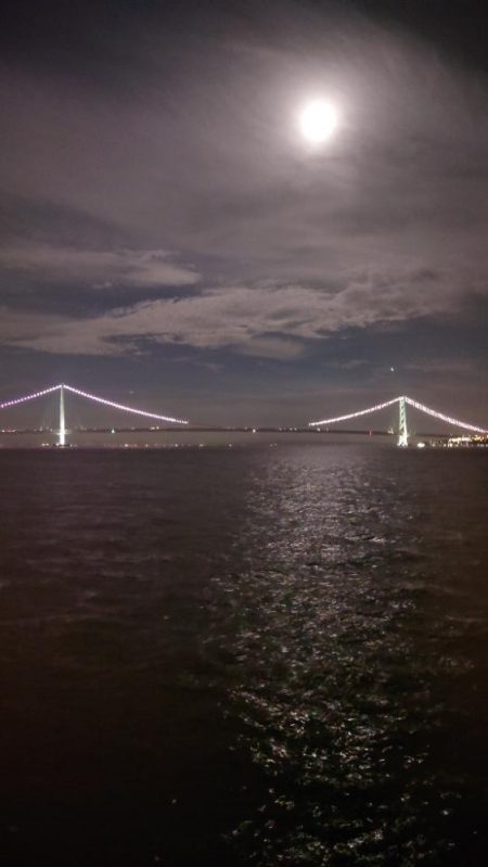 最初から切り身で…