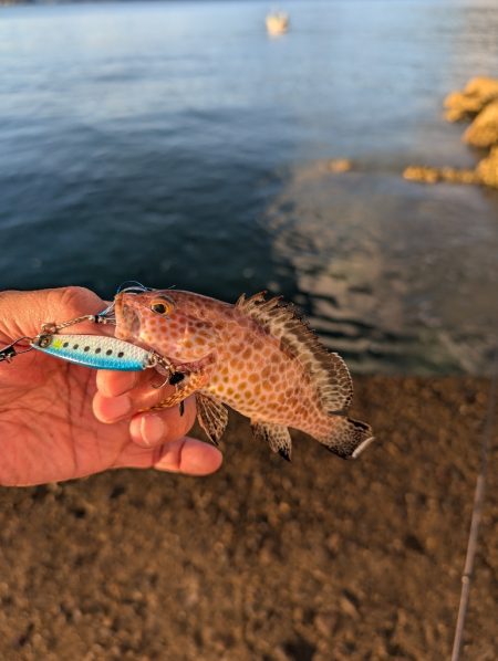 陸っぱり釣行記
