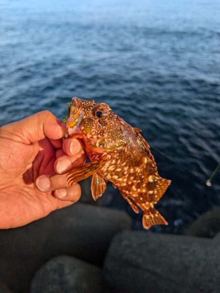 陸っぱり釣行記