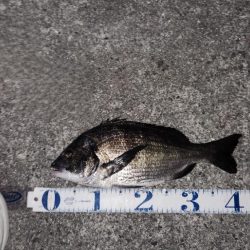 チニングに新たな武器?!