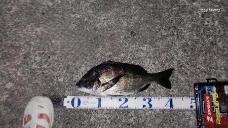 チニングに新たな武器?!