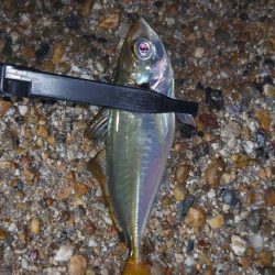 そんな甘くはないよね！