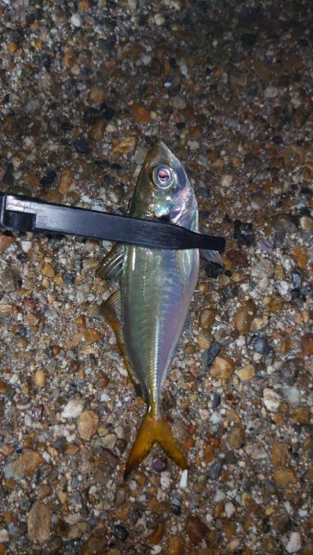 そんな甘くはないよね！