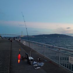 久しぶりのサビキ釣り🎣