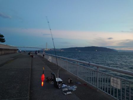 久しぶりのサビキ釣り🎣