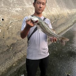 博多湾シーバス　御笹川