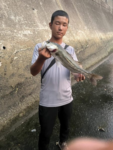 博多湾シーバス　御笹川