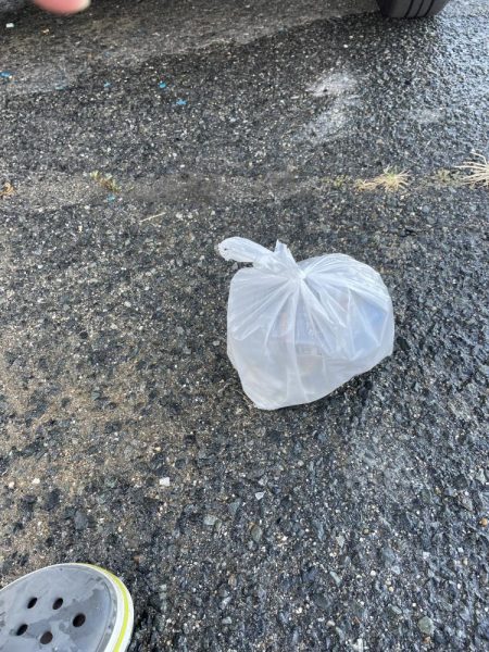 三重サーフでまさかのタチウオ!?